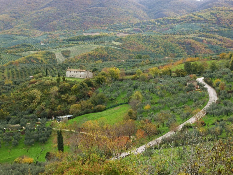 Sabina sublime-Dettagli d''autunno